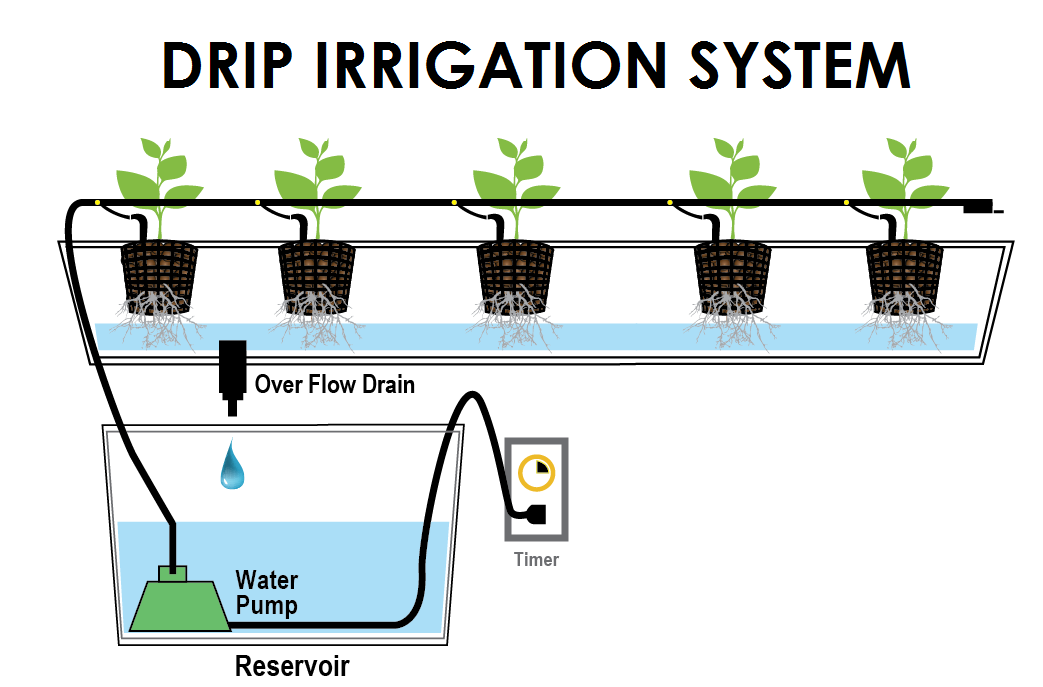 drip irrigation system
