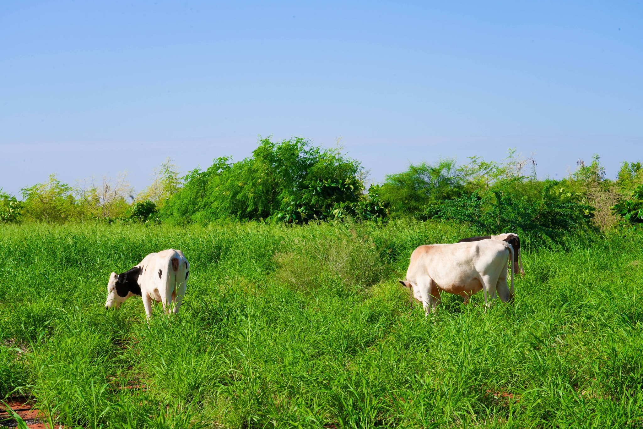 481076279 979362677626158 2566059260057651141 n