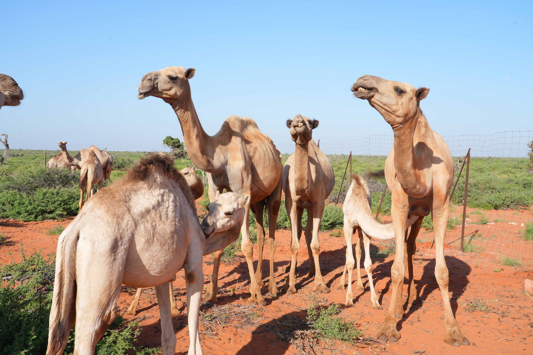 481259295 979362670959492 448440418165696710 n